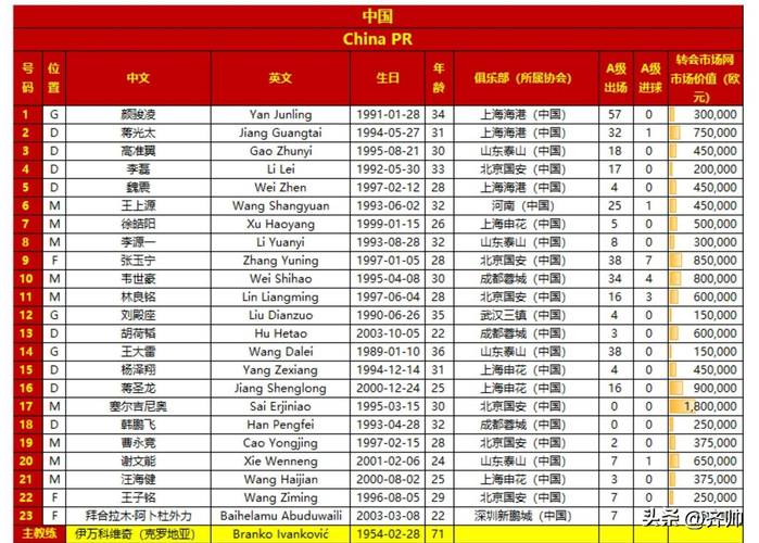 卡塔尔世界杯国足名单