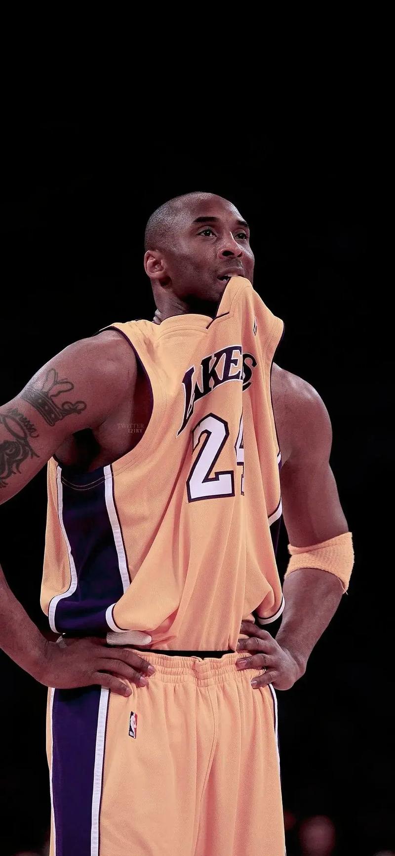 nba都有什么曼巴