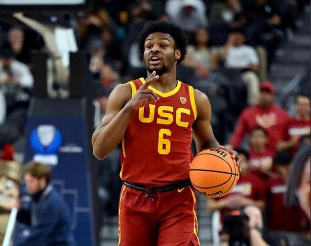 布朗尼·詹姆斯多大多高