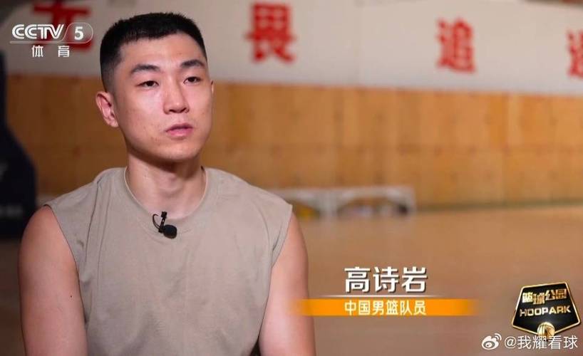 高诗岩个人简介