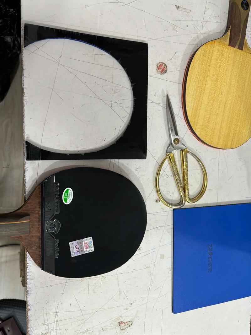 新手乒乓球拍胶皮推荐