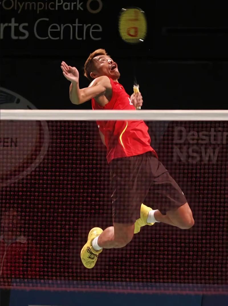 林丹参加了里约奥运会吗