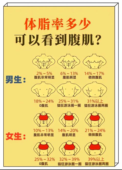 nba球员体脂率排名最新