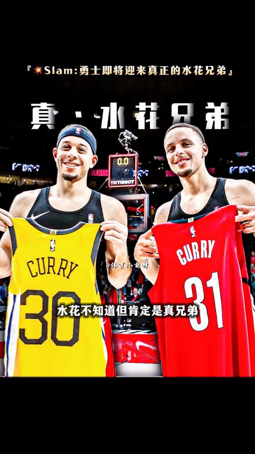 塞斯库里是库里的弟弟吗