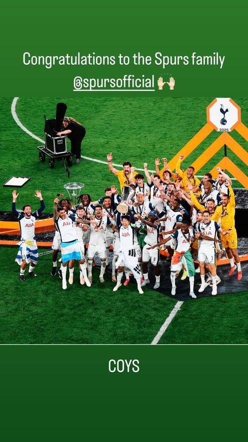 热刺欧冠亚军阵容