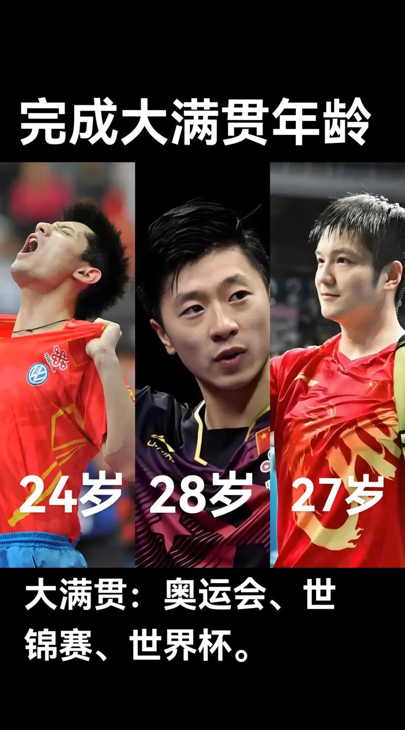 马龙和张继科对打过吗