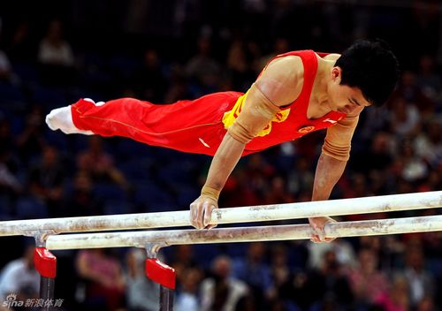 历届奥运会男子双杠冠军