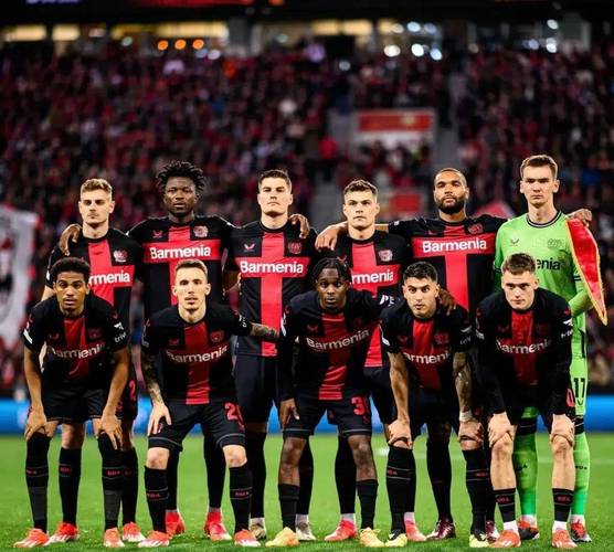 德甲球队有哪些球队