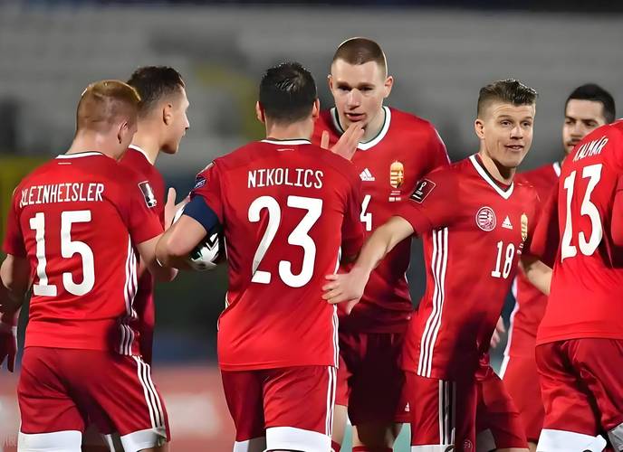 瑞士世界杯预选赛