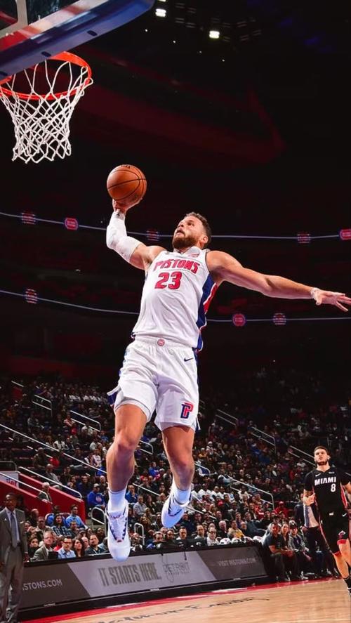 格里芬生涯扣篮集锦