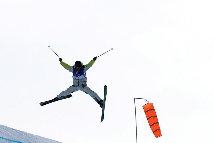自由式滑雪大跳台世锦赛