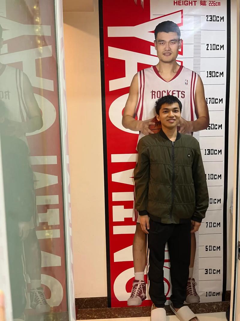 姚明退役时多大