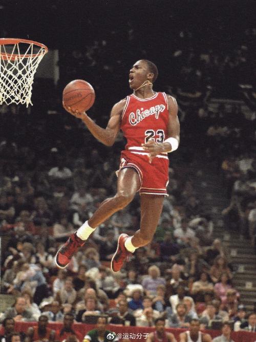 为何乔丹在篮球界地位很高