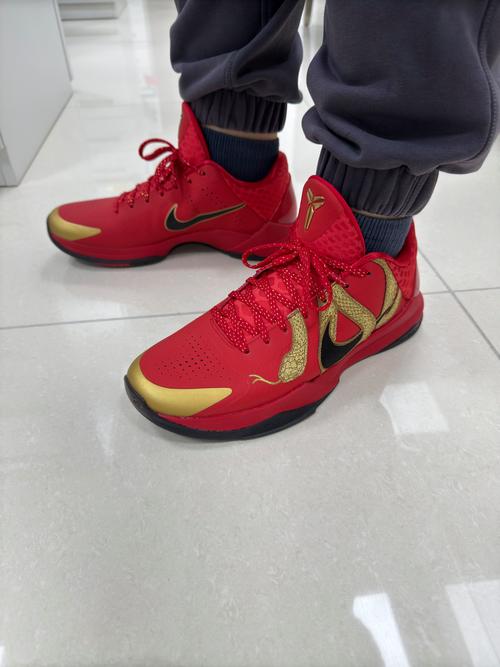 科比5发售在哪里可以买到