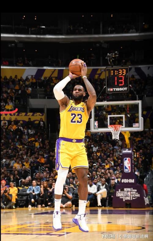 詹姆斯简介中文版