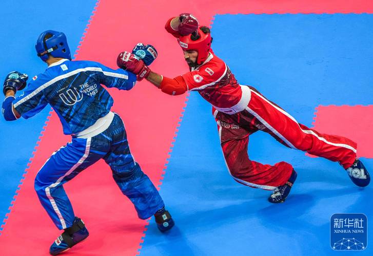 国际自由搏击比赛叫什么赛事