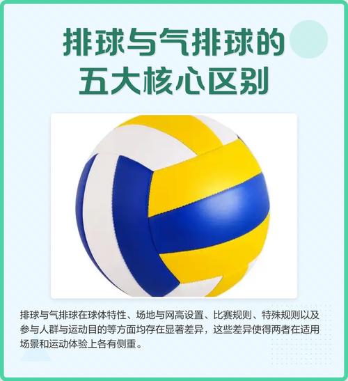 1.排球运动的特点?