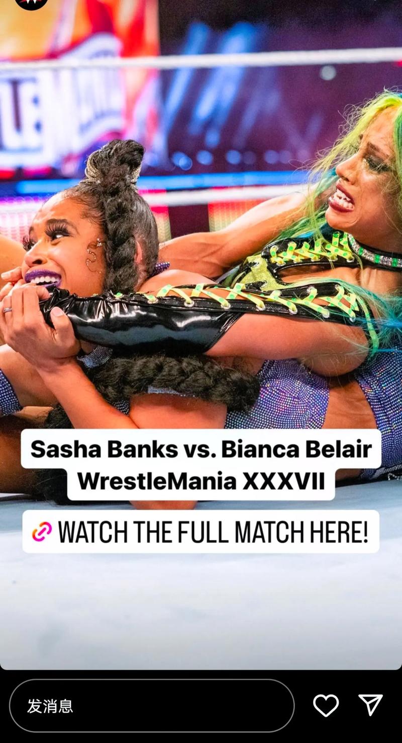 wwe 女子职业摔角