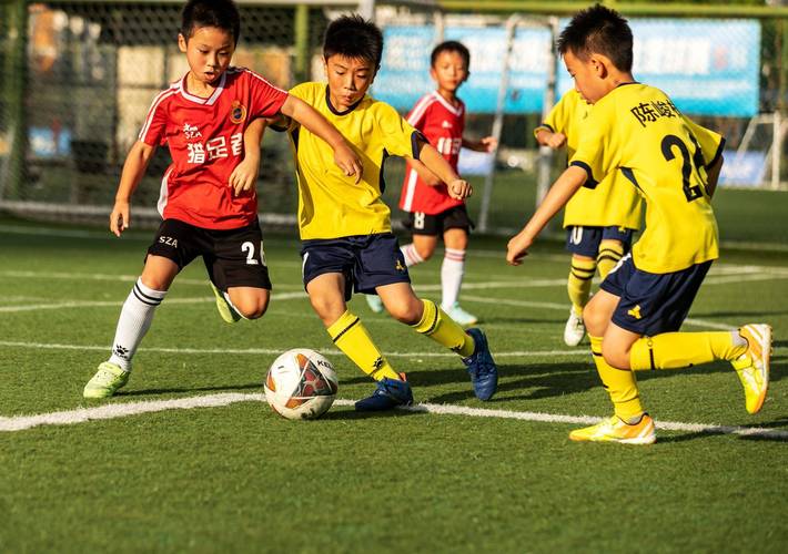 体育竞技类比赛