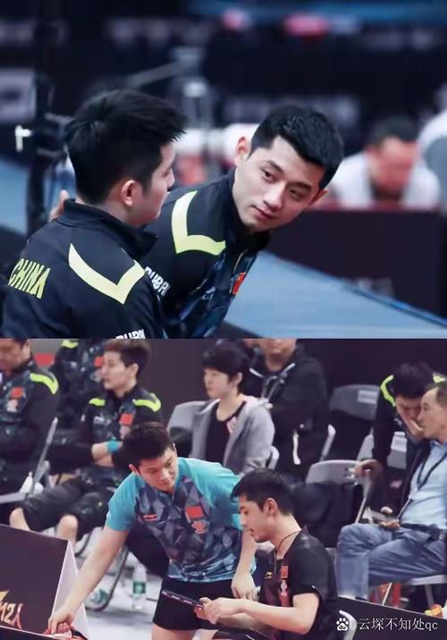 张继科怎么不打比赛了呢