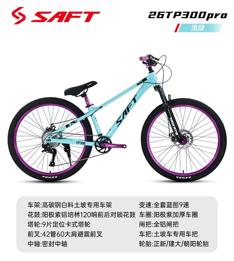 国际比赛专用自行车多少钱