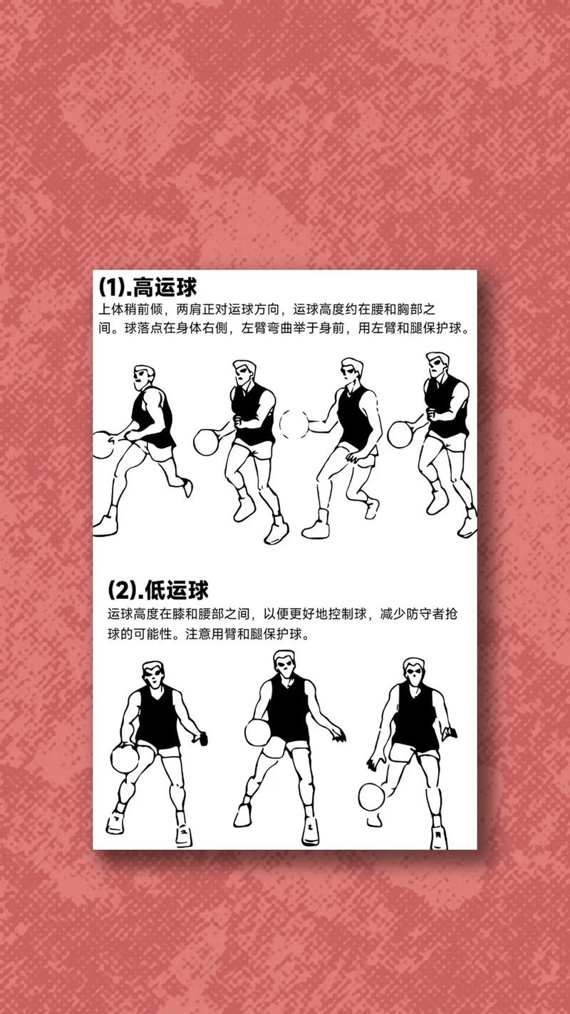 篮球的基本训练