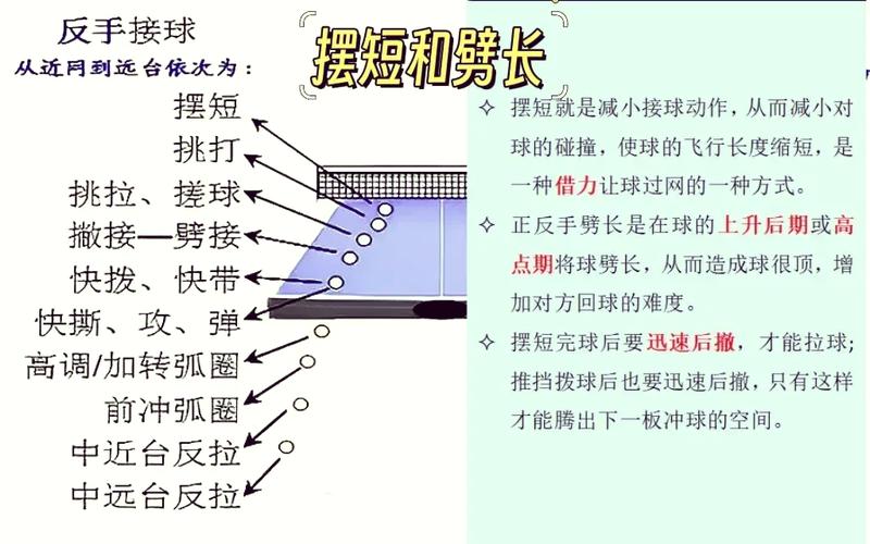 乒乓球万能接球技术教案