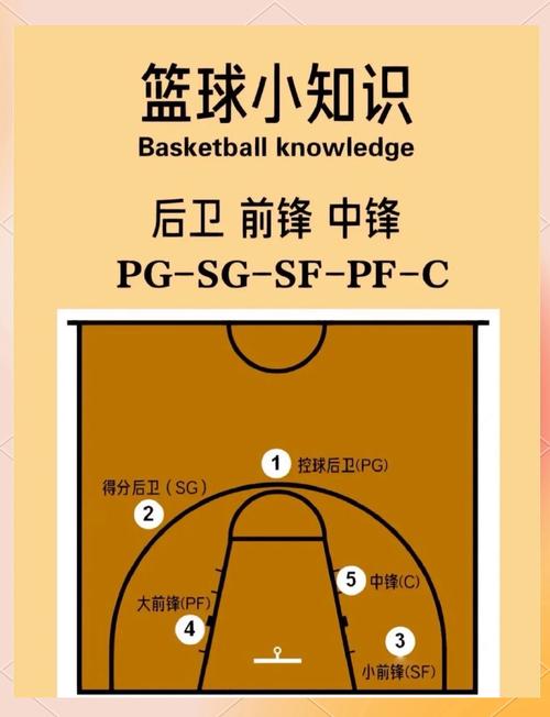 篮球几个位置是干嘛的