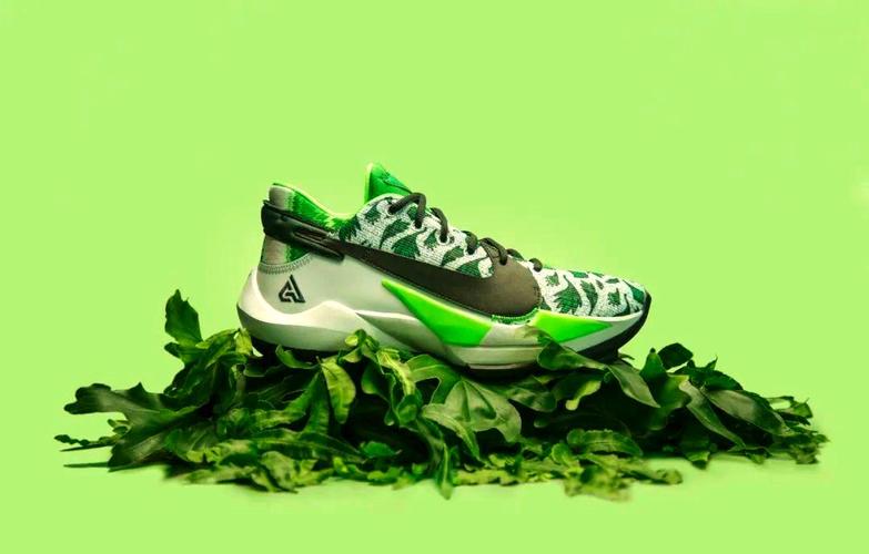 字母哥二代发售时间