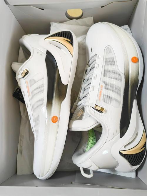 布里奇斯的球鞋