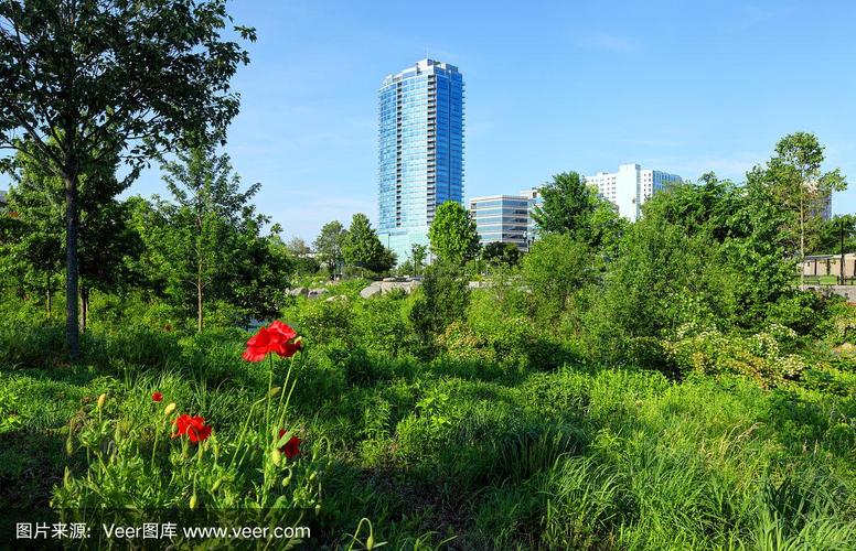 康涅狄格州stamford