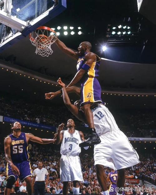 乔丹臂展有多长