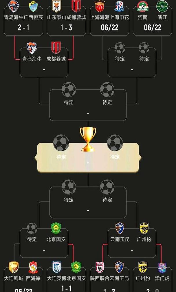 北京国安俱乐部足协杯赛程