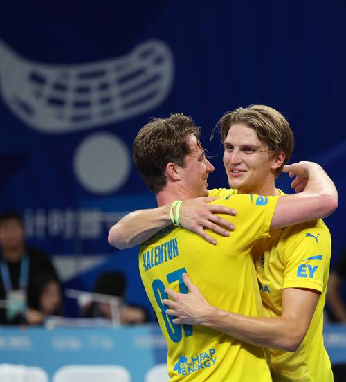 2021欧洲杯瑞典队新阵容，谁将成为赛场上的王者之师？