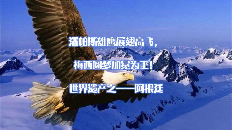 1978年世界杯，阿根廷队：那一年，潘帕斯雄鹰展翅高飞