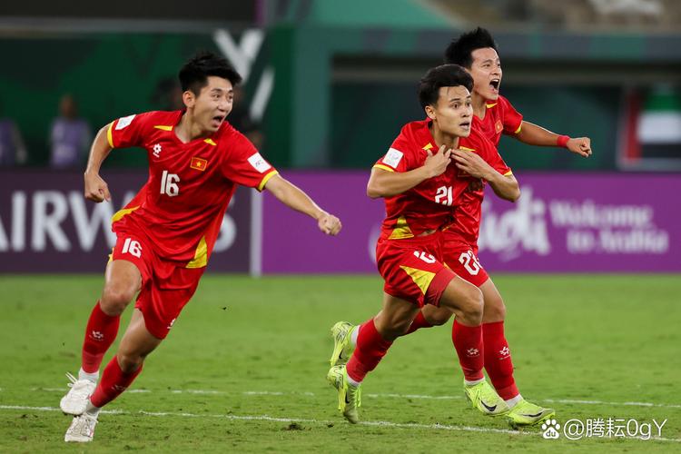 2015男足亚洲杯：激情燃烧的岁月，我们的足球梦